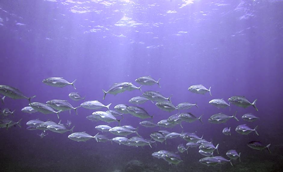 Mackerel Islands Resort