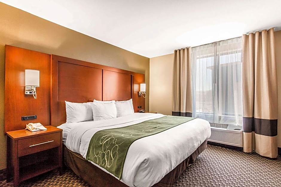 Comfort Suites Tuscaloosa near University