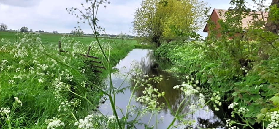 Het Bijenweitje - The Little Bee Meadow