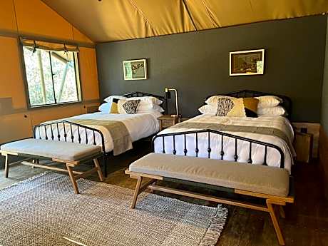 Standard Double Suite