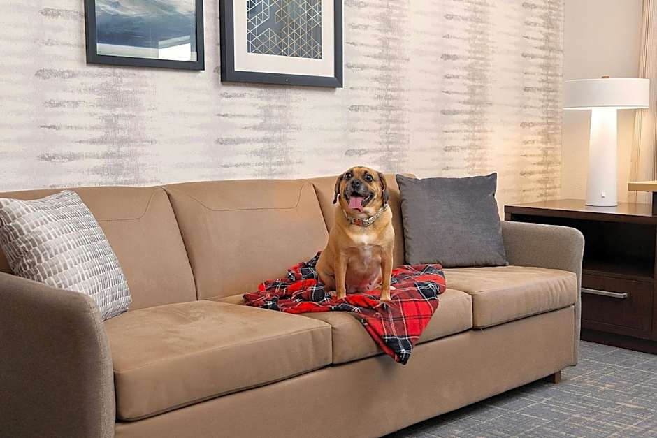 Residence Inn by Marriott Rochester Henrietta