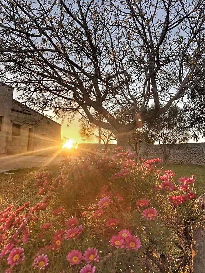 Don Agostino Relais Masseria