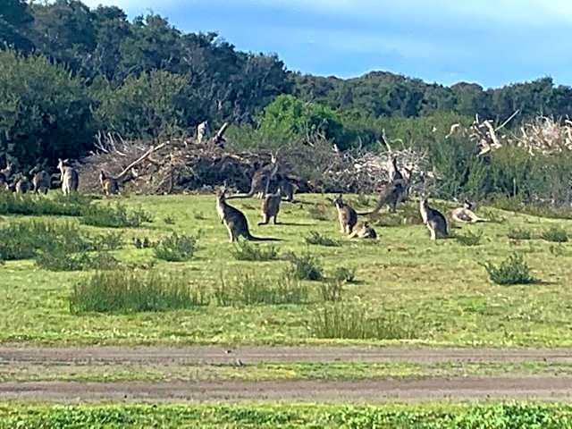 Broadbeach Inverloch