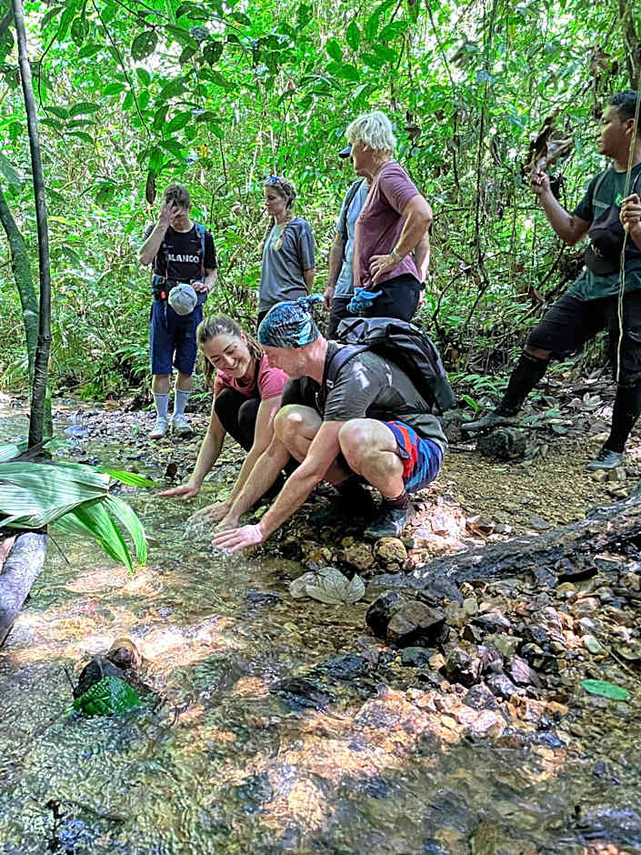 Green Travelodge Bukit Lawang