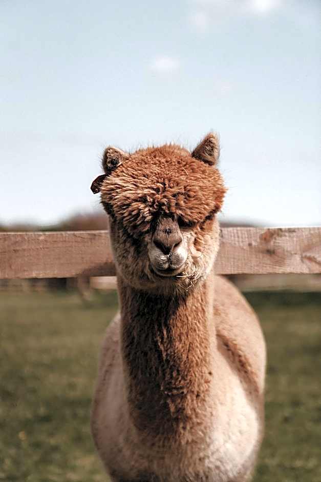 Powerscourt Springs Health Farm