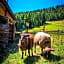 Ferienhütte Hoitahüttl
