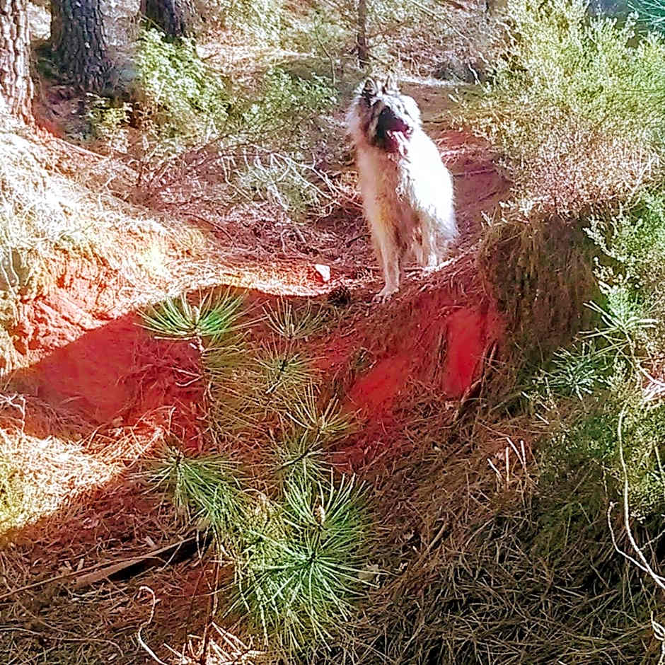 Les Granges