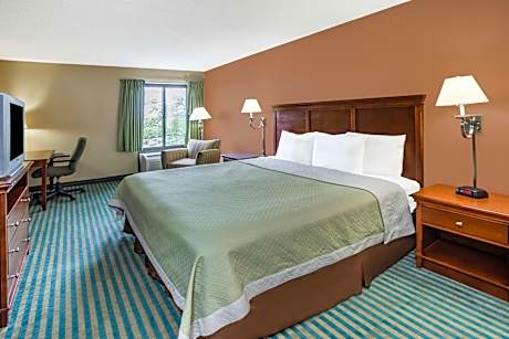 1 King Bed Non-Smoking