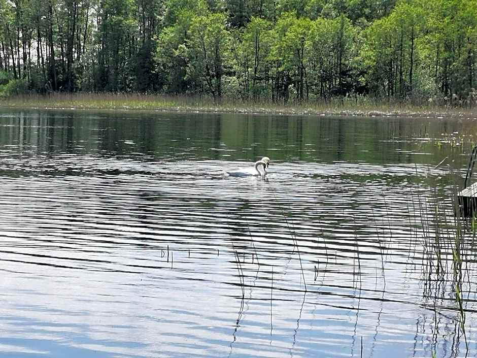Domki Borowiackie nad brzegiem jeziora
