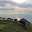 Tenuta di Castellaro Winery & Resort