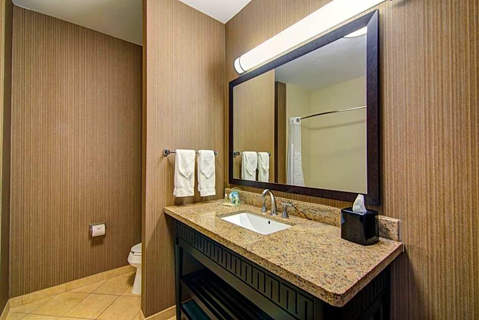 Holiday Inn Arlington Northeast By IHG