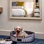 70 Park Avenue Hotel By IHG