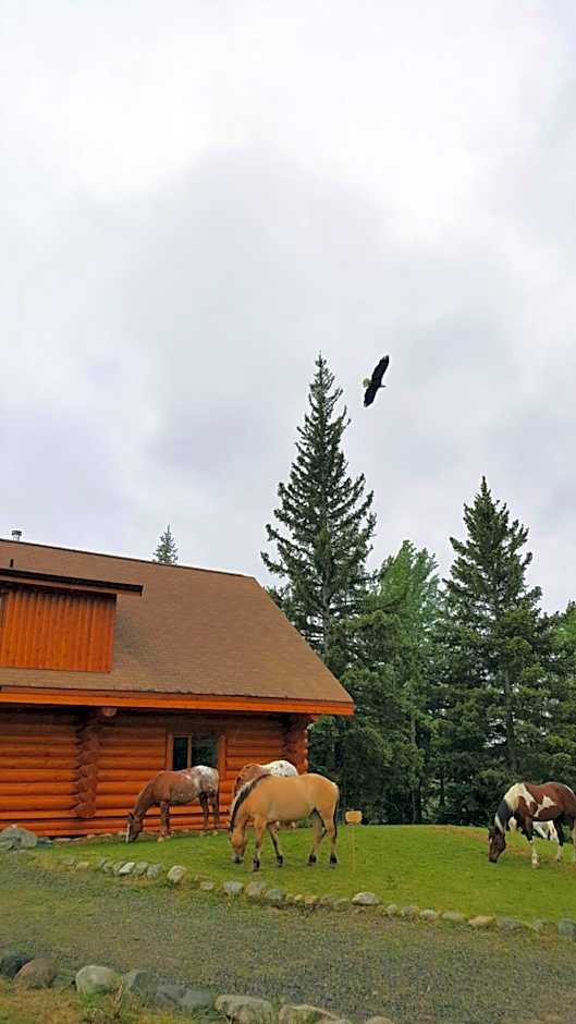 Wettstone Guest Ranch