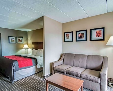 1 King Bed, Nonsmoking, Accessible