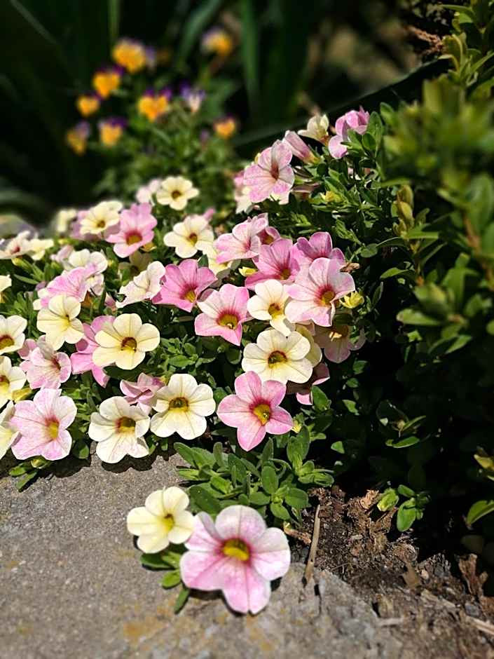 Hotel & Restaurant Bergfried