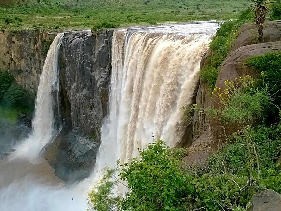 Oak Lane Bed and Breakfast