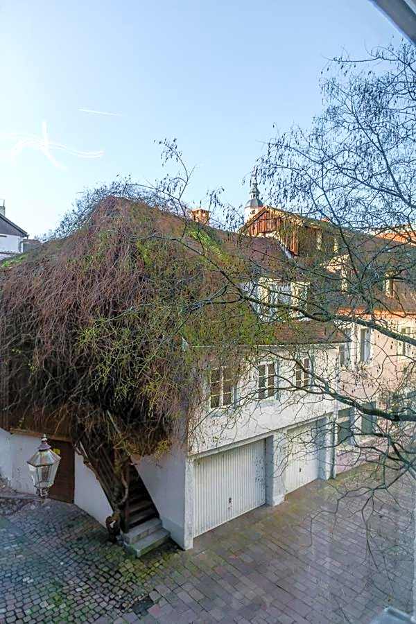 City Apartment an der Caracalla Therme