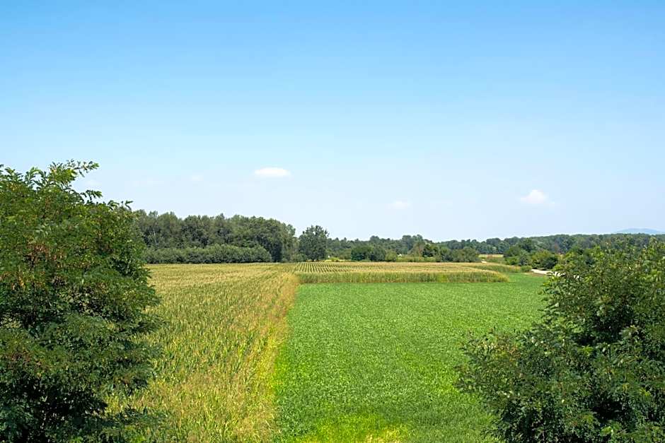 Green Class Hotel Candiolo