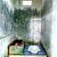 Homestay Mbah Parni