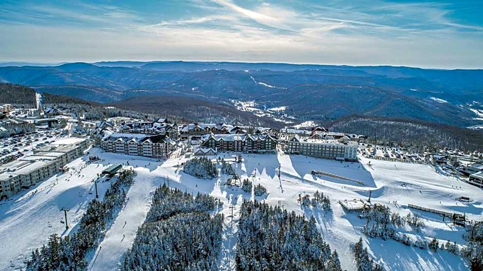 Allegheny Spg - Cozy Condo Ski from our patio