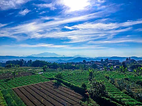 Tangko Resort Puncak Cipanas