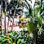 Crane's Beach House Boutique Hotel & Luxury Villas