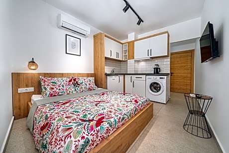 Studio Apartment with Balcony - Annex