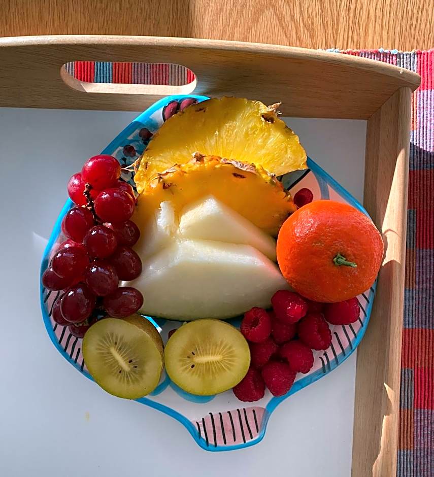 El jardin Botánico Villa LUZ