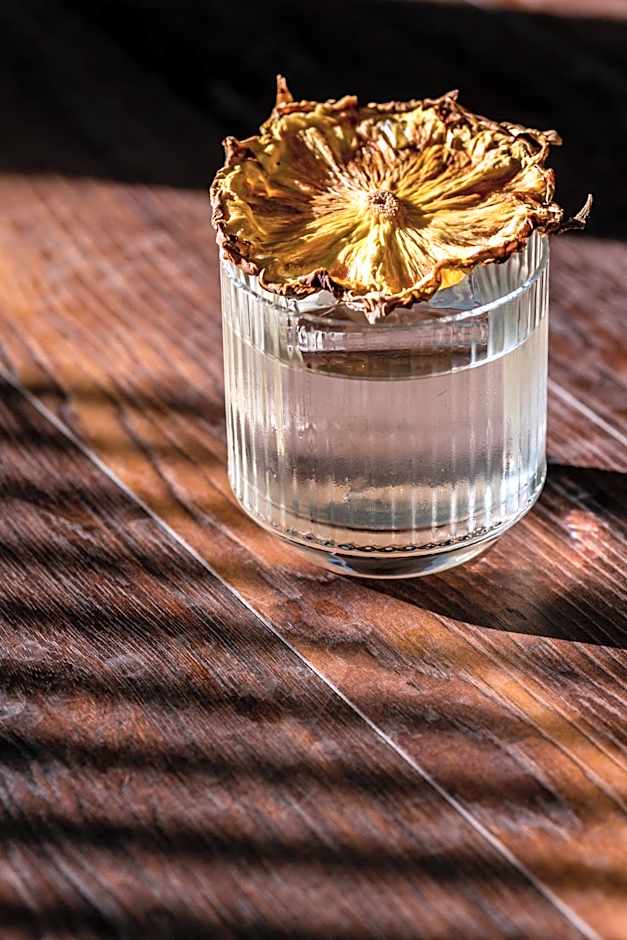 Zeus is Loose Hostel