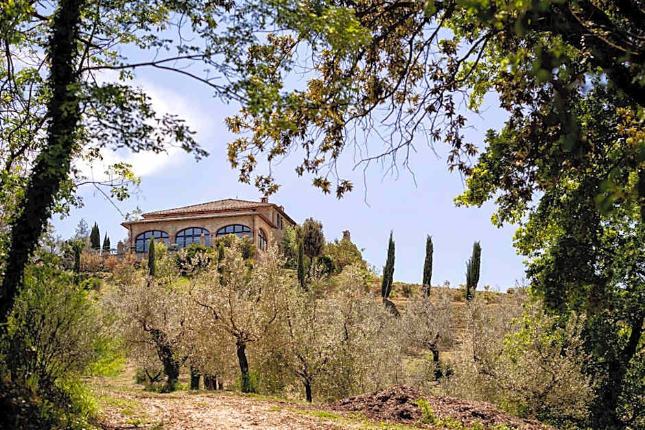 Il Poggio degli Olivi