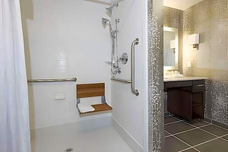 1King Accessible Roll In Shower Suite Nonsmok