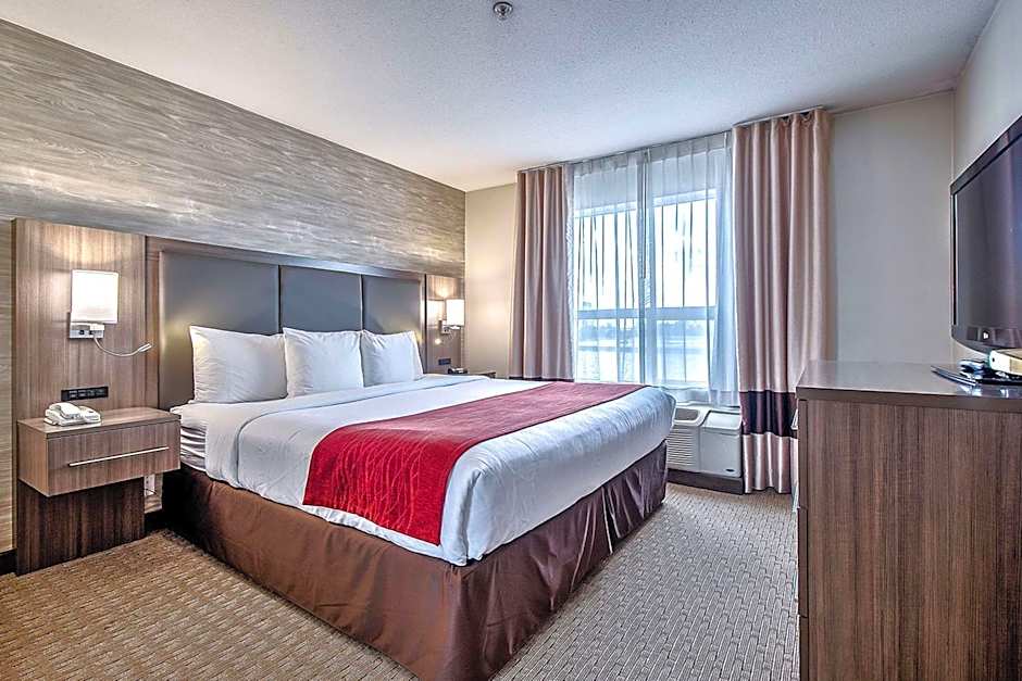 Comfort Inn And Suites South