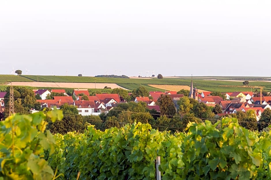 Weingut und Gästehaus Henrici