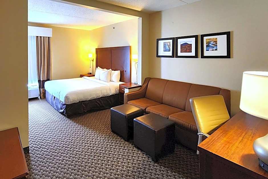 Comfort Inn & Suites Mount Pocono