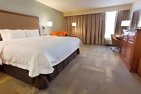 1 King Bed Nonsmoking