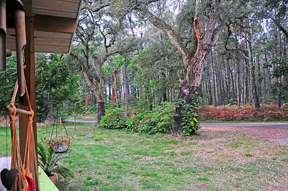 Les Hébergements Nature et Bien-être