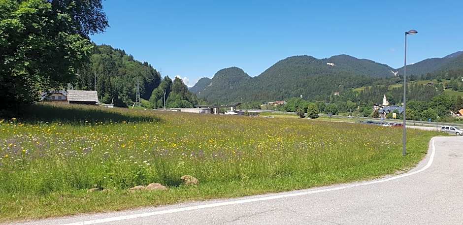 Al sentiero di Charly