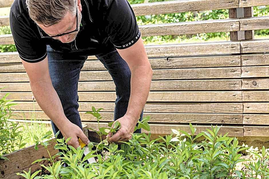 Wohlfühlhotel Goiserer Mühle