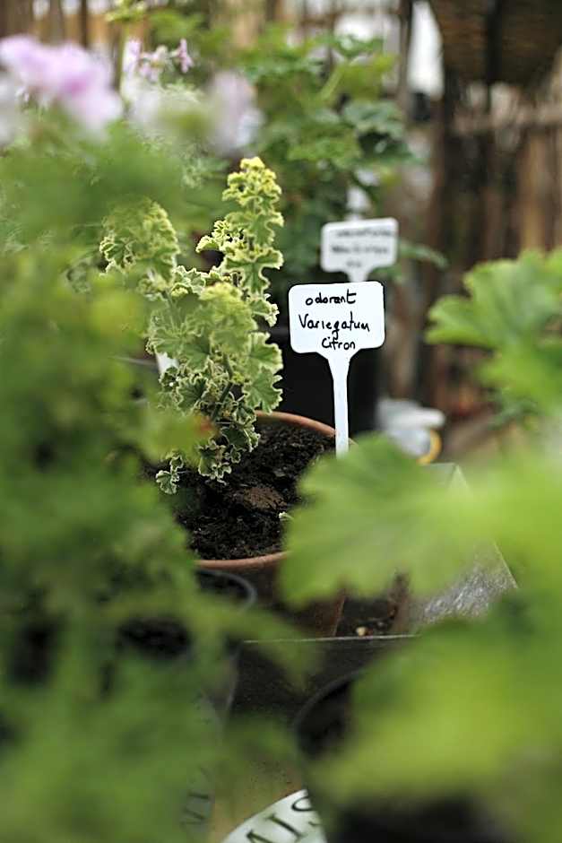 Hôtel Les Orangeries