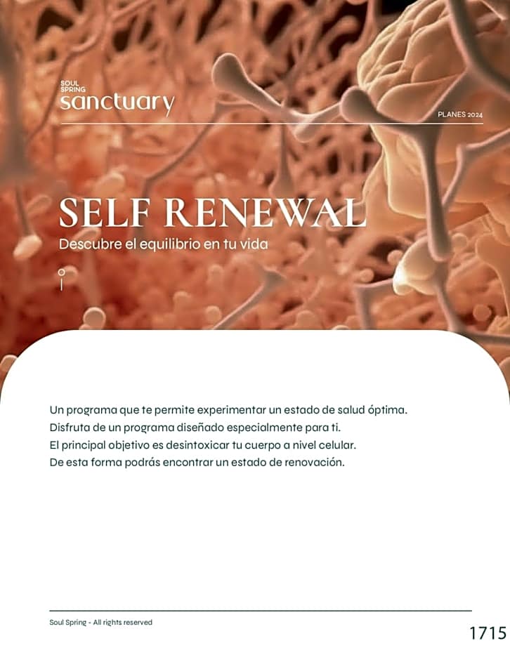 Soul Spring Sanctuary Cuernavaca