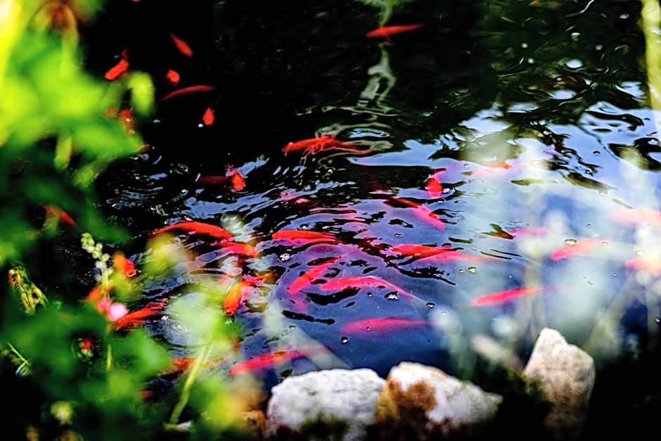 Chambres d'Hotes du Haut Anjou