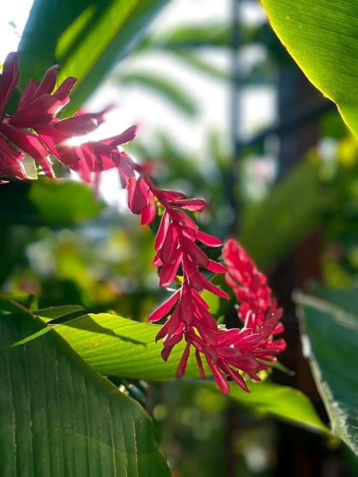 Hotel Del Aserradero