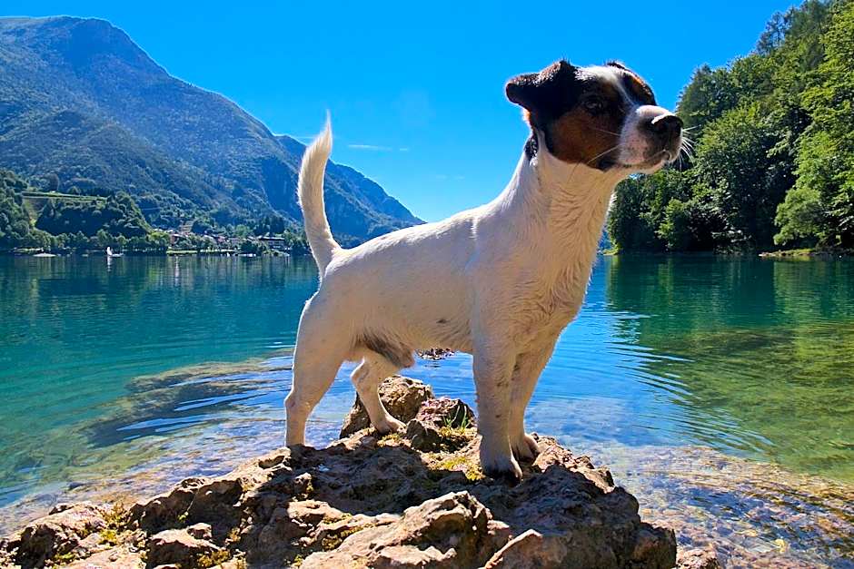 Hotel Garni My Ledro