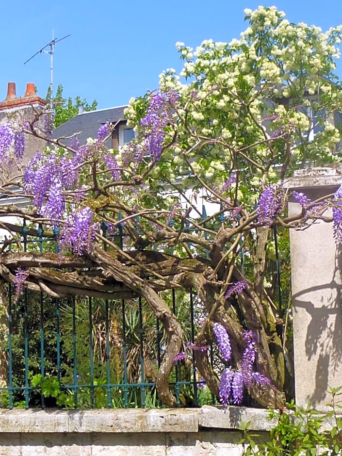 La Petite Vigne