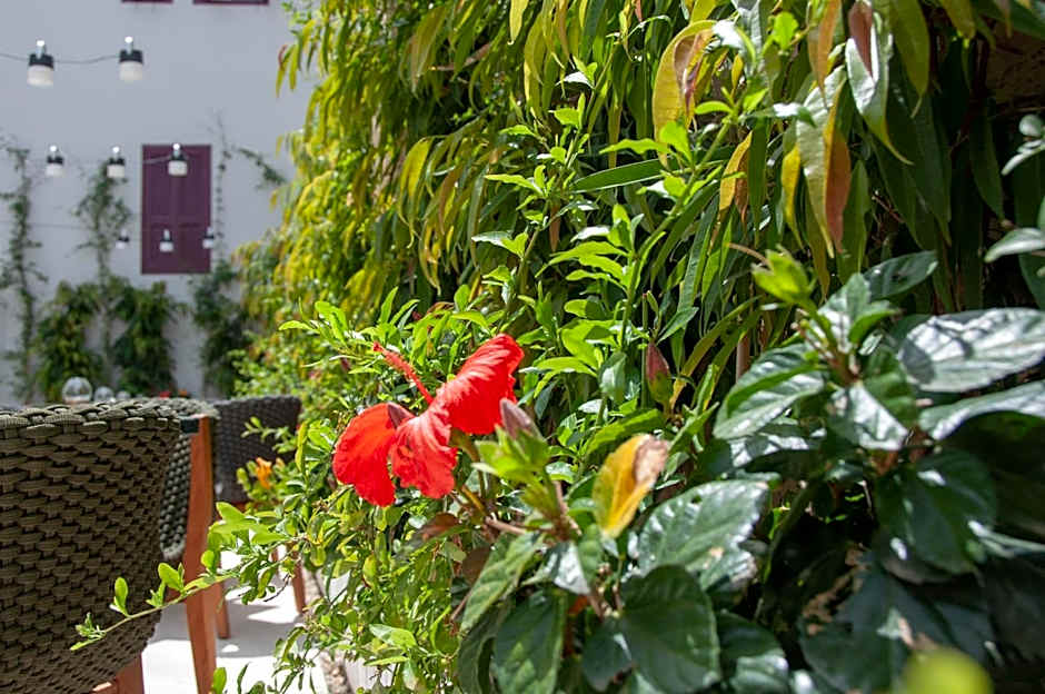 S Paul City Hotel