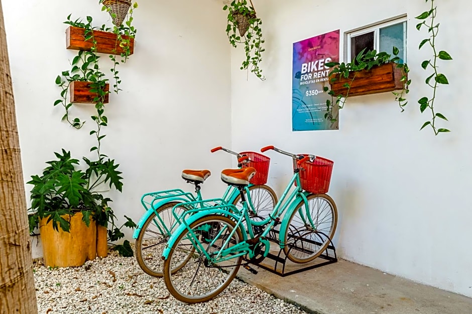 Mezcal Hostel