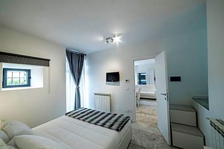 Deluxe One-Bedroom Apartment
