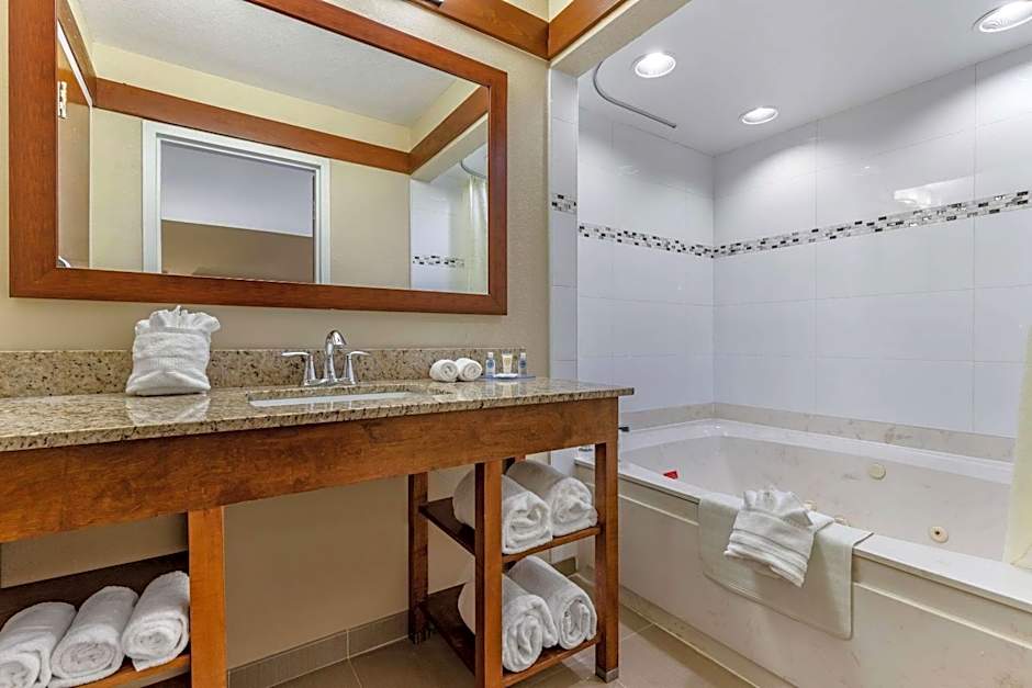 Comfort Inn & Suites Clemson - University Area 