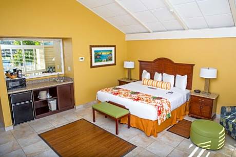 Suite-1 King Bed Non-Smoking Balcony Wet Bar Microwave And Refrigerator Wi-Fi Full Breakfast