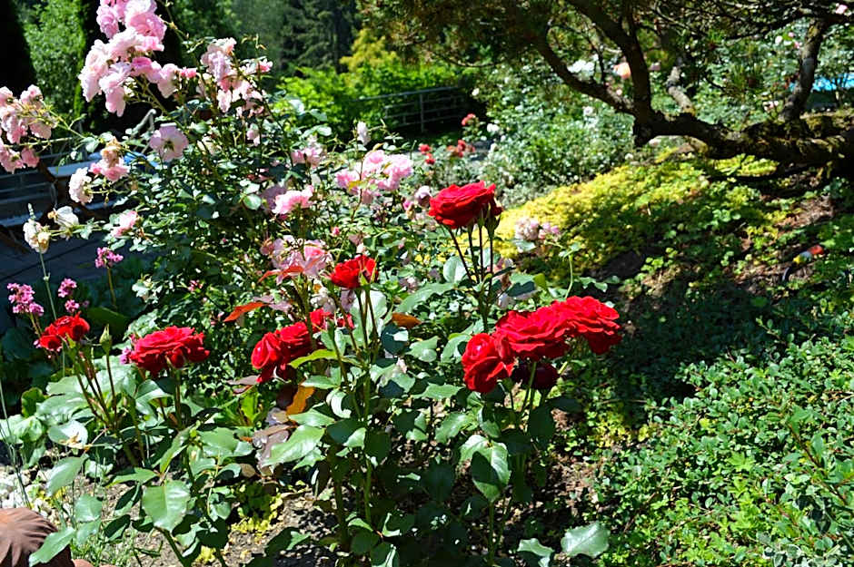 Landidyll-Hotel Nudelbacher